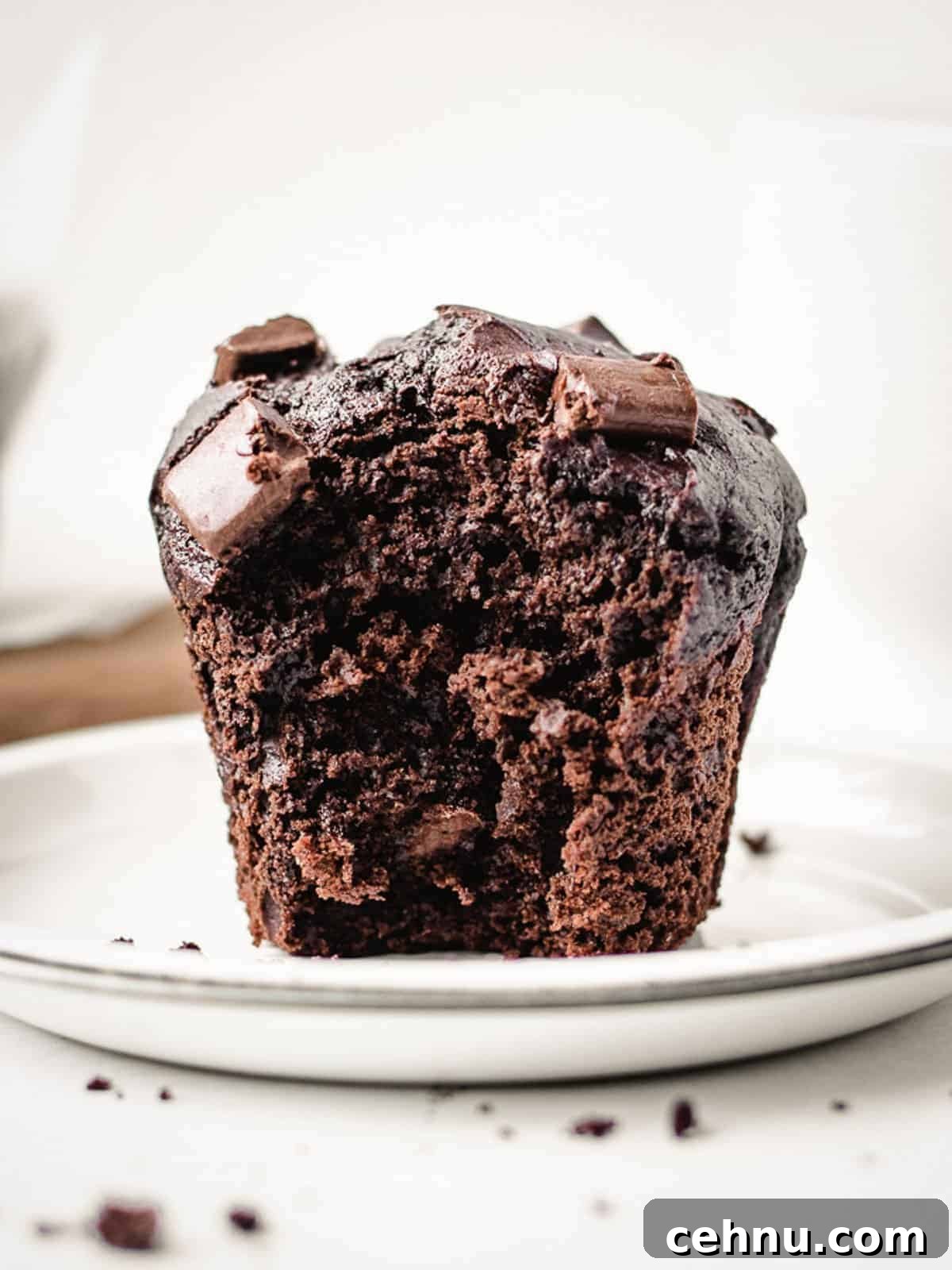 large double chocolate muffin on a plate