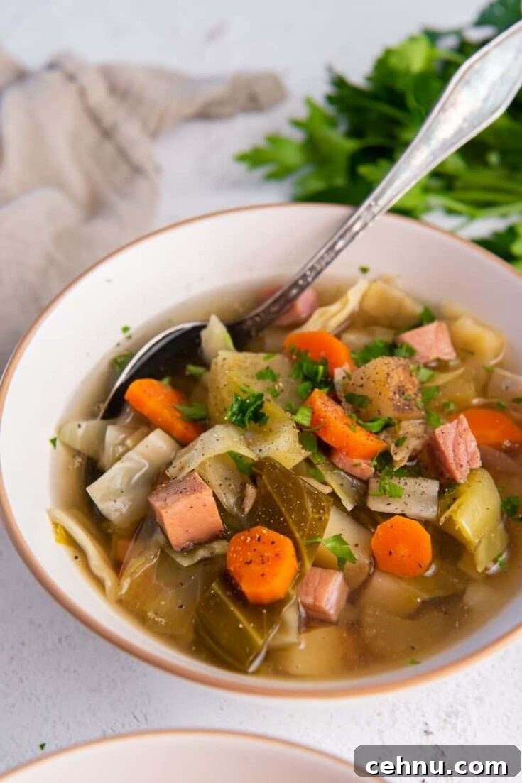 Crockpot ham and cabbage soup