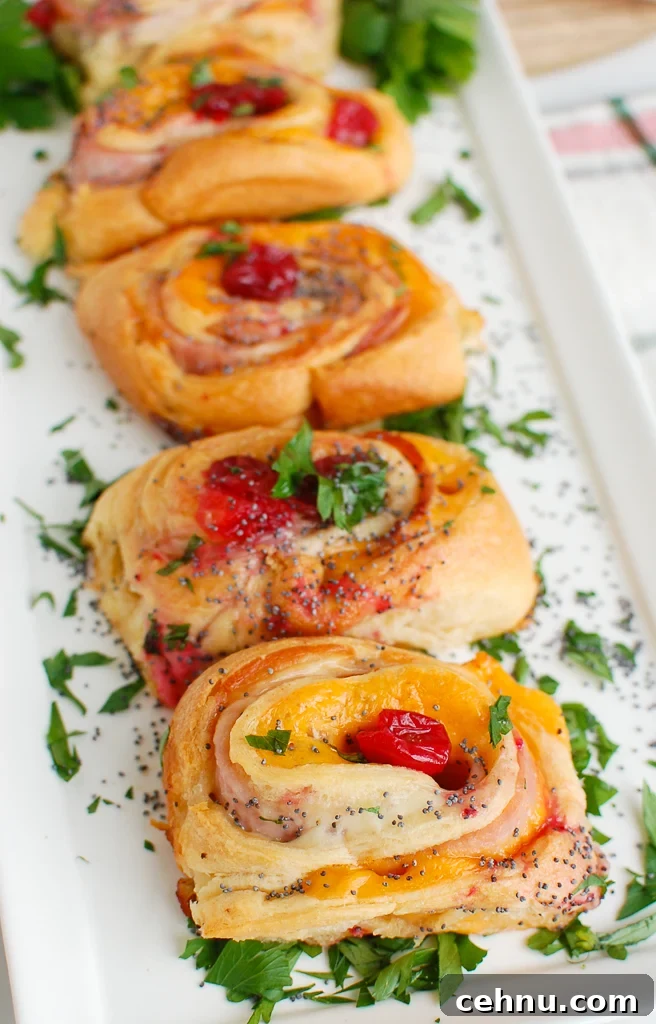 Ham cheese and cranberry rollups