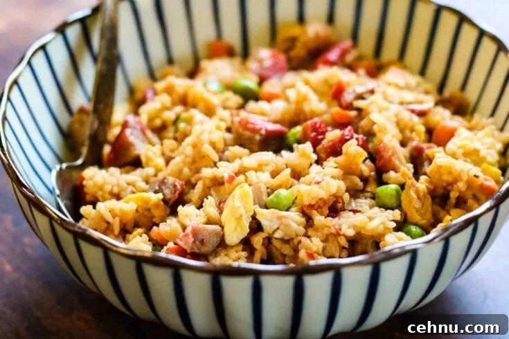 Pork fried rice