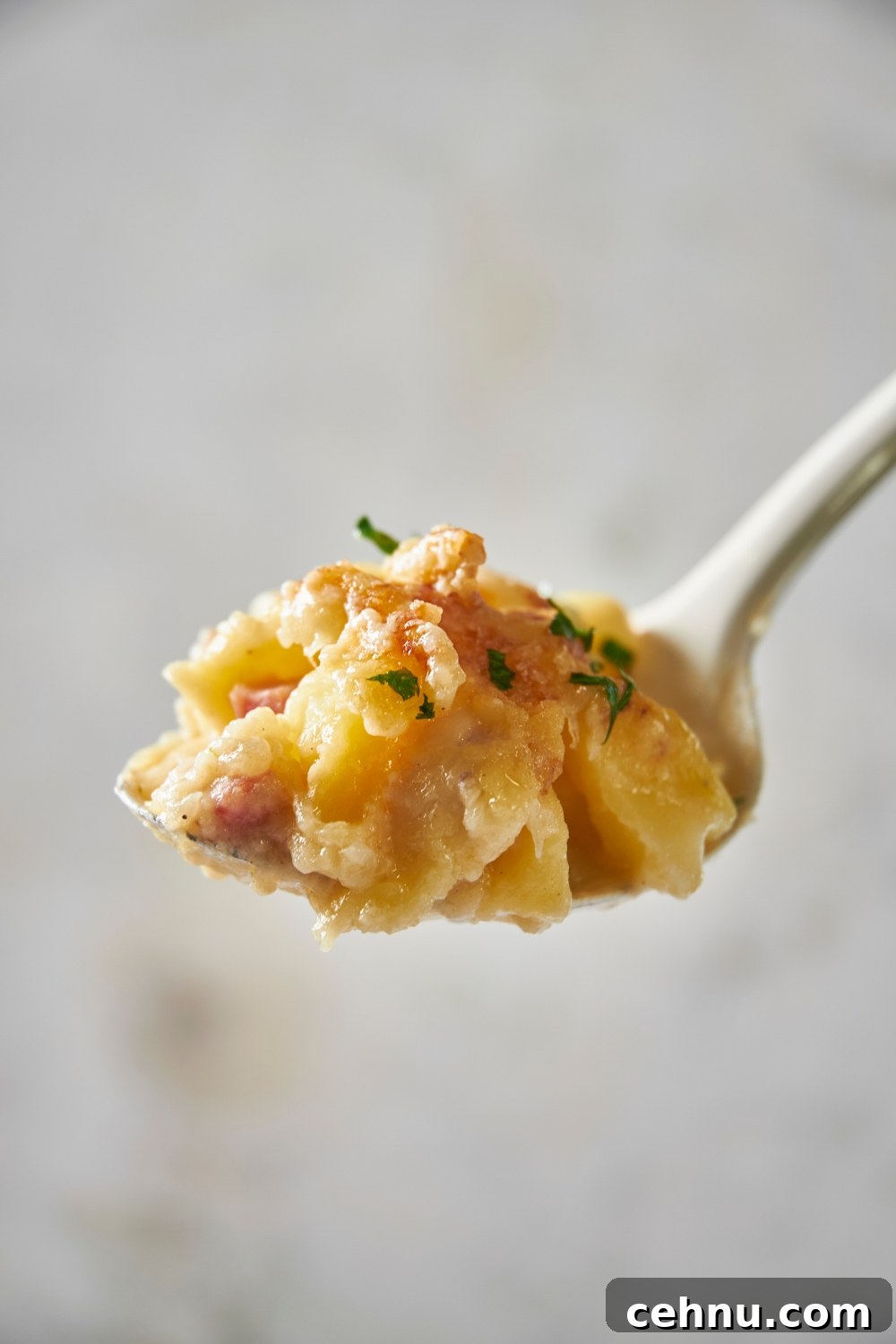 A fork holding a piece of ham and potato casserole.
