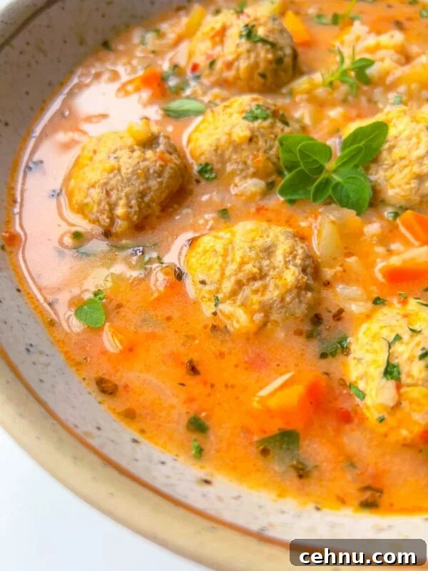 A close-up of a bowl of soup with meatballs, diced carrots, rice, herbs, and a creamy orange broth, garnished with fresh green herbs.