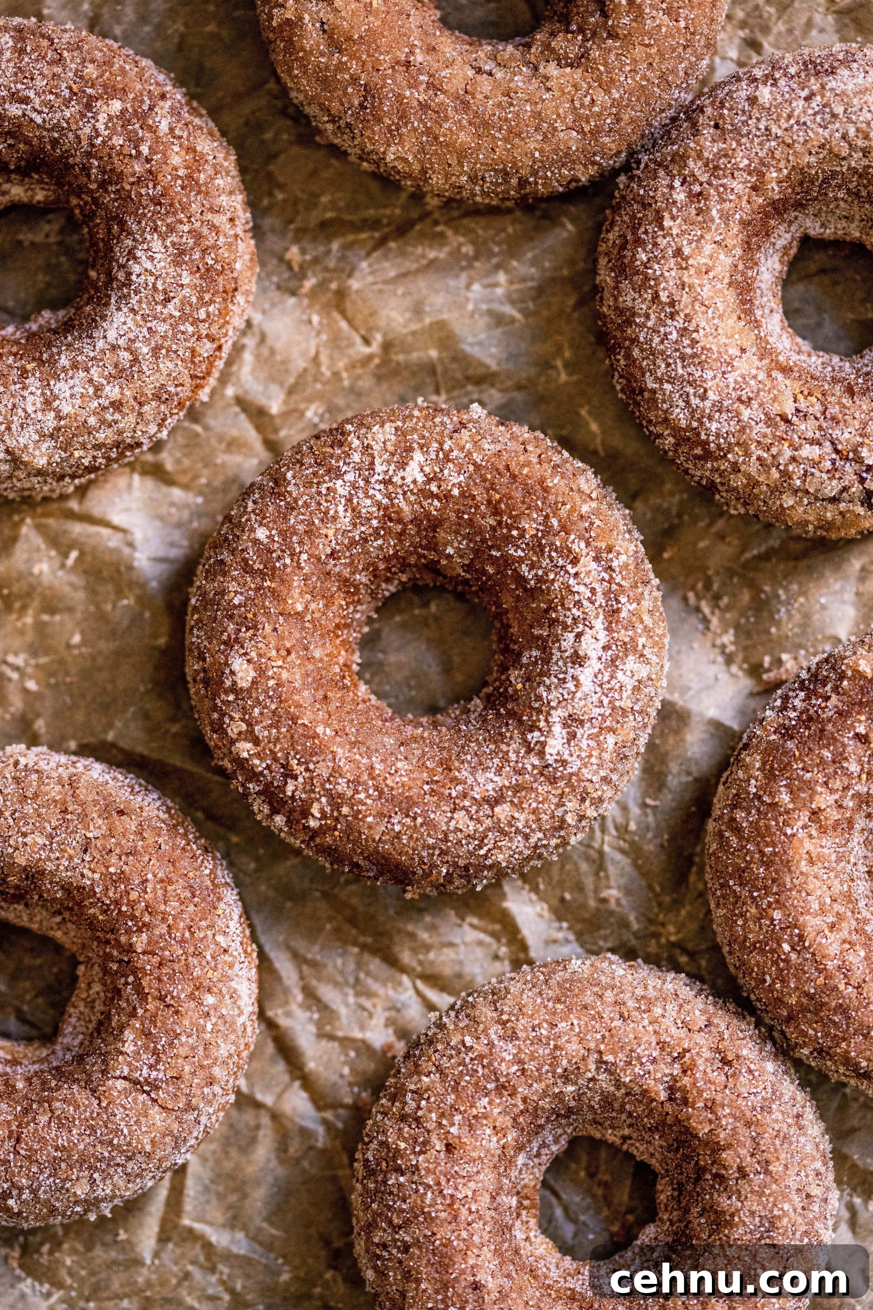 Baked Apple Cider Donuts on top of parchment paper