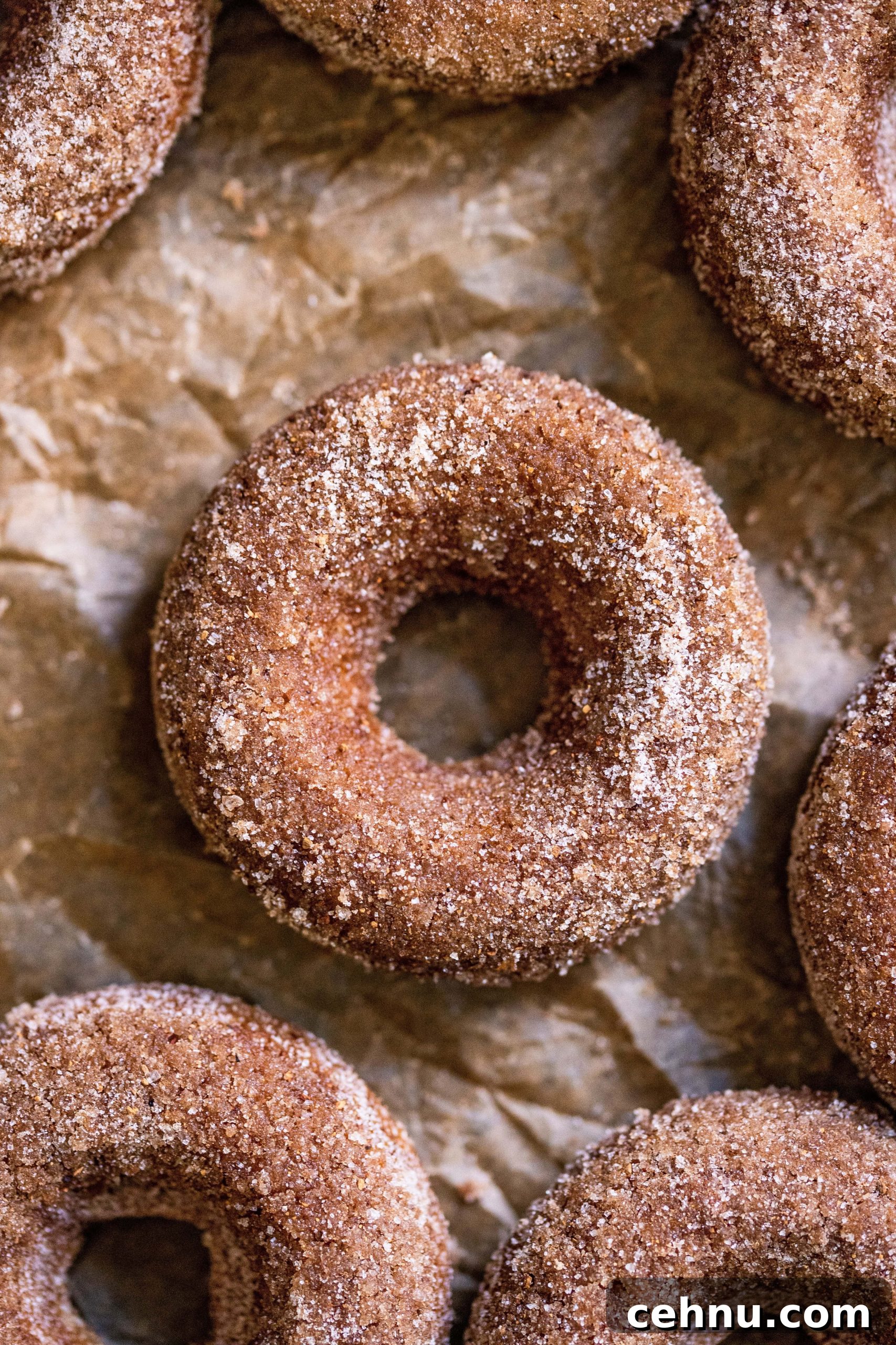 Baked Apple Cider Donuts close up on parchment paper