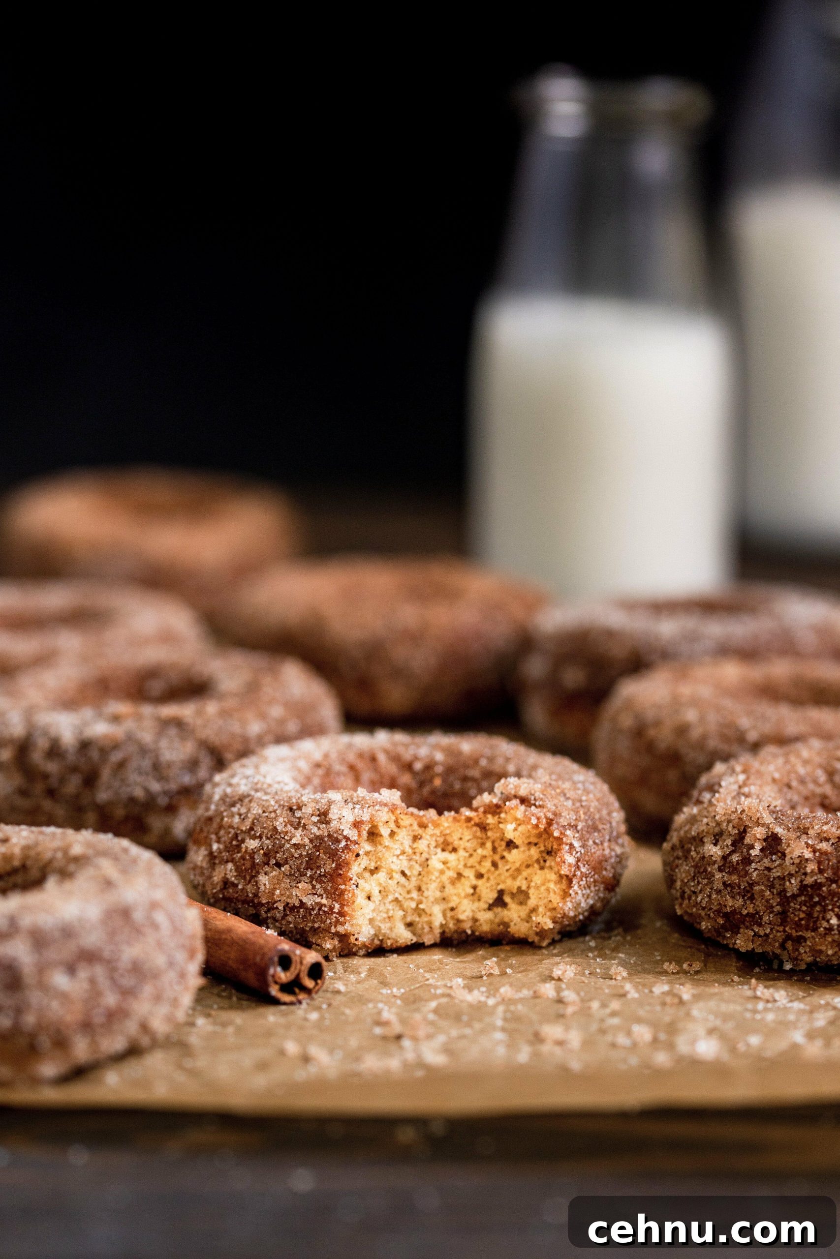 Baked Apple Cider Donuts spread out with bite missing