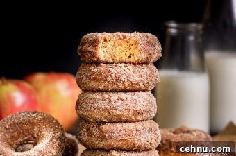 Baked Apple Cider Donuts stacked with bite out of top