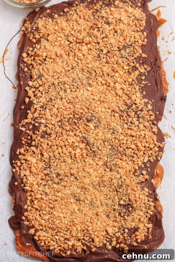 Banana Bark