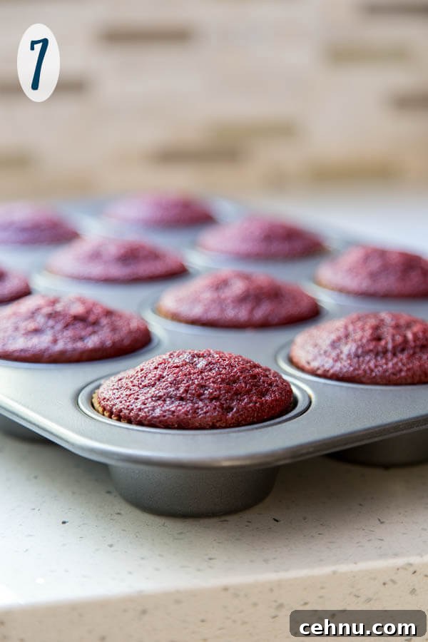 Baked red velvet cupcakes in a muffin pan