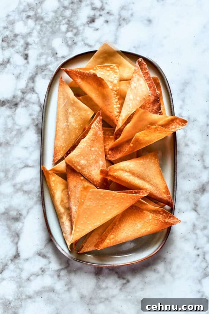 The crisp wonton wrappers on a dish.
