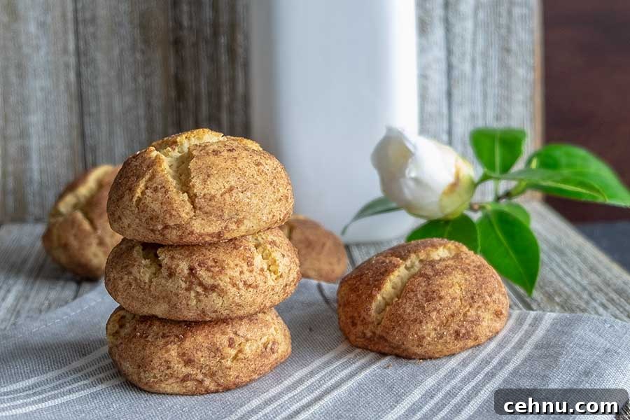 20 Gluten-Free Cookie Recipes for Holiday Parties and Gifts 13 close up of 3 snickerdoodle cookies with a jug of milk in the background