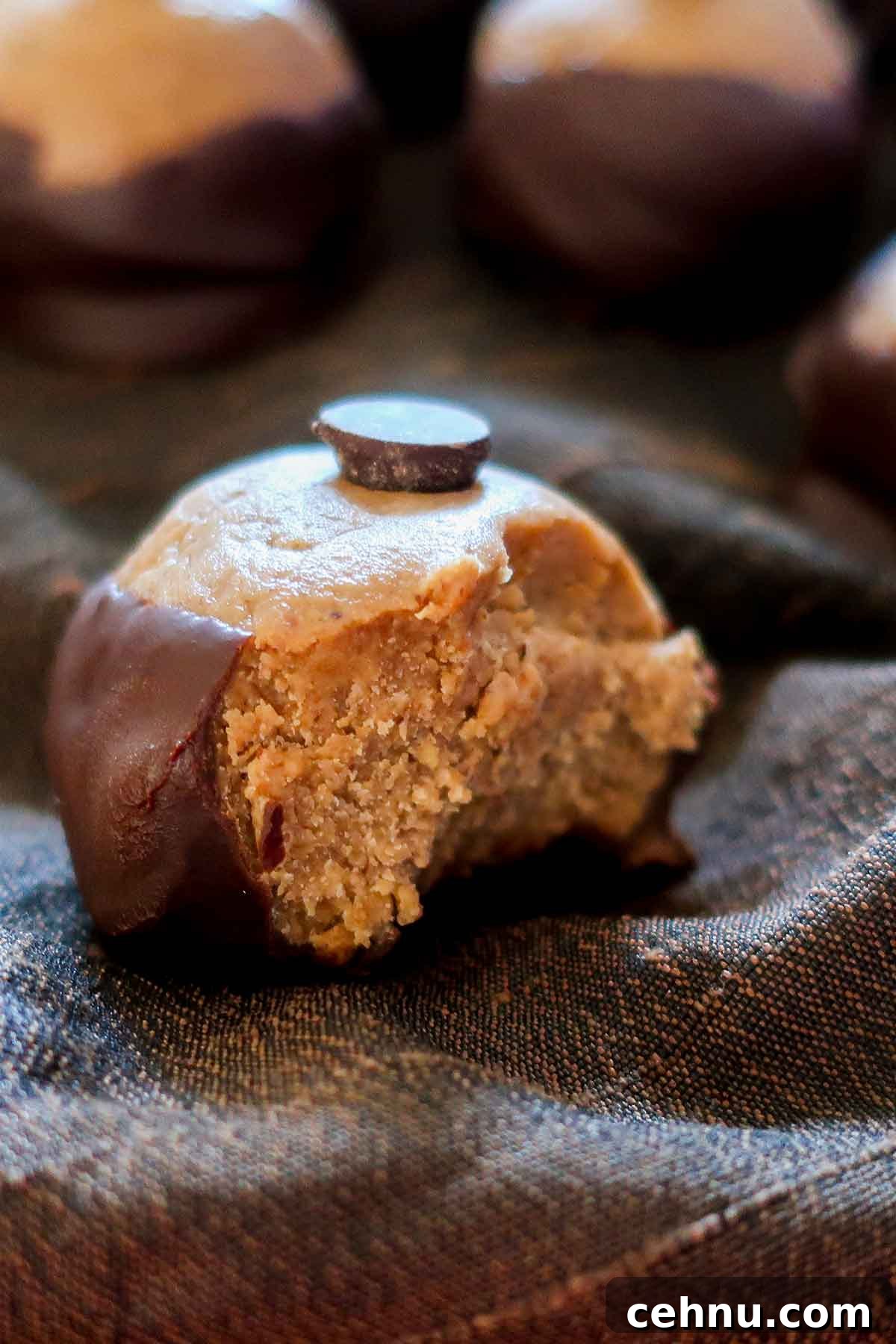 20 Gluten-Free Cookie Recipes for Holiday Parties and Gifts 16 close up of a bite taken out of buckeye cookie
