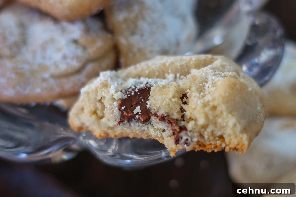 20 Gluten-Free Cookie Recipes for Holiday Parties and Gifts 18 close up of the inside of cookie taschen with rich chocolaty Nutella