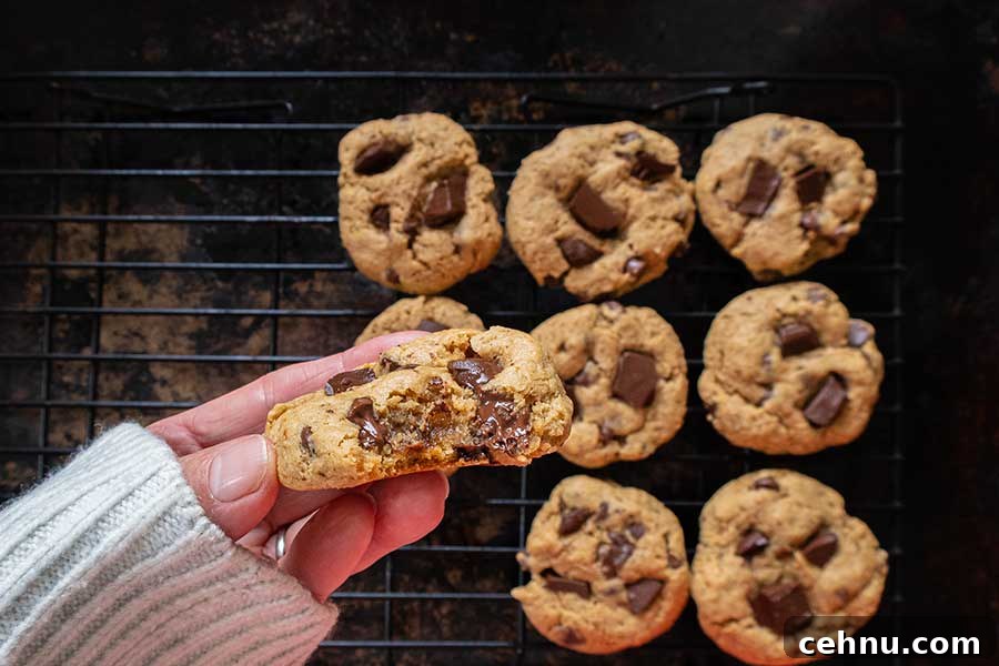 20 Gluten-Free Cookie Recipes for Holiday Parties and Gifts 20 gluten-free chocolate chip cookie in a hand