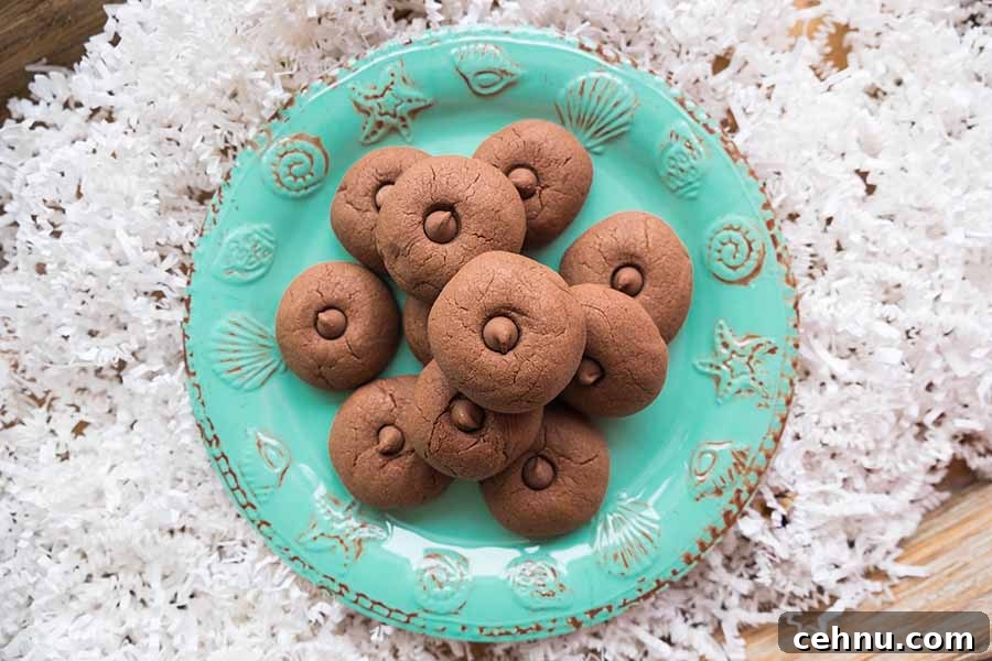 20 Gluten-Free Cookie Recipes for Holiday Parties and Gifts 21 Freshly baked warm holiday Nutella cookies, on a turquoise plate