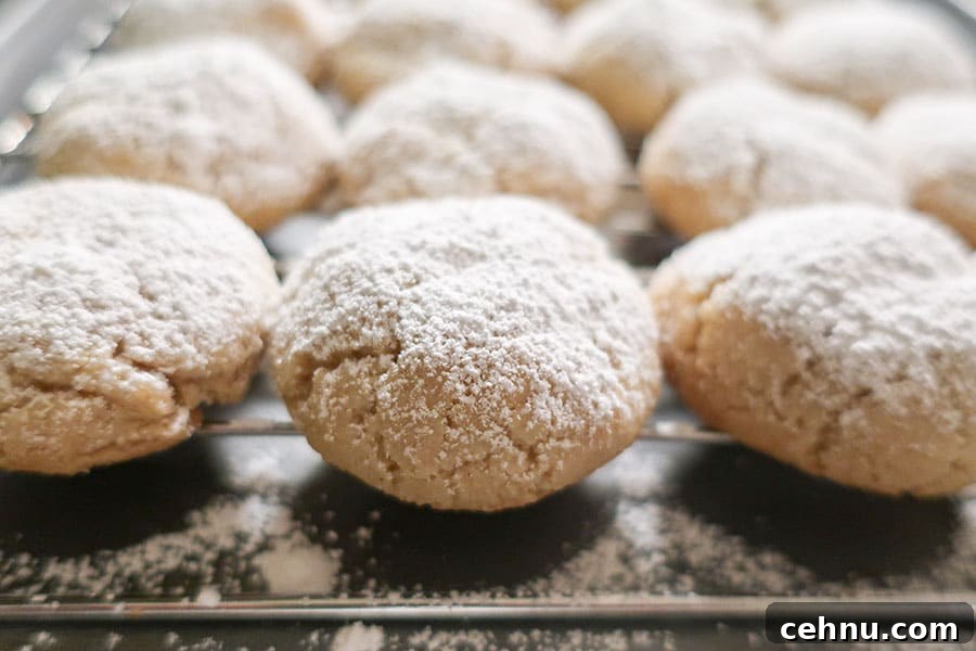 20 Gluten-Free Cookie Recipes for Holiday Parties and Gifts 7 close up of freshly baked and dusted with powdered sugar grain-free snowball cookie on a tray