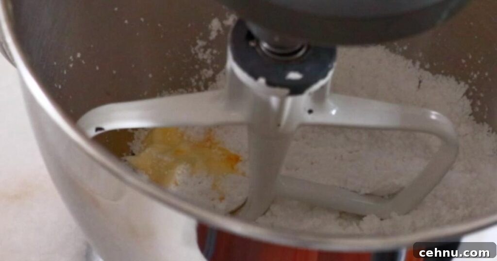 Classic Butter Cookies Recipe 5 mixing butter and powdered sugar