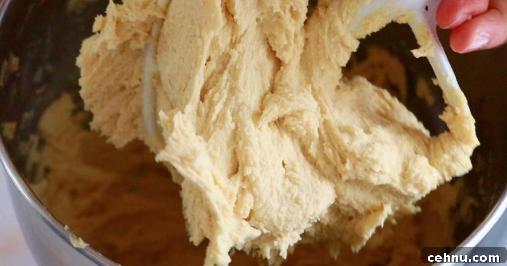 Classic Butter Cookies Recipe 8 a close-up of butter cookie dough