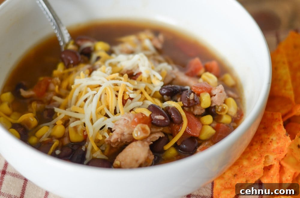 Instant Pot Chicken Taco Soup