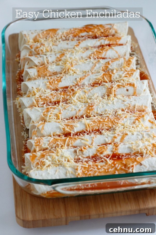 Chicken Enchiladas