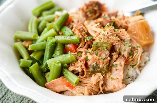Slow cooker freezer meal chicken