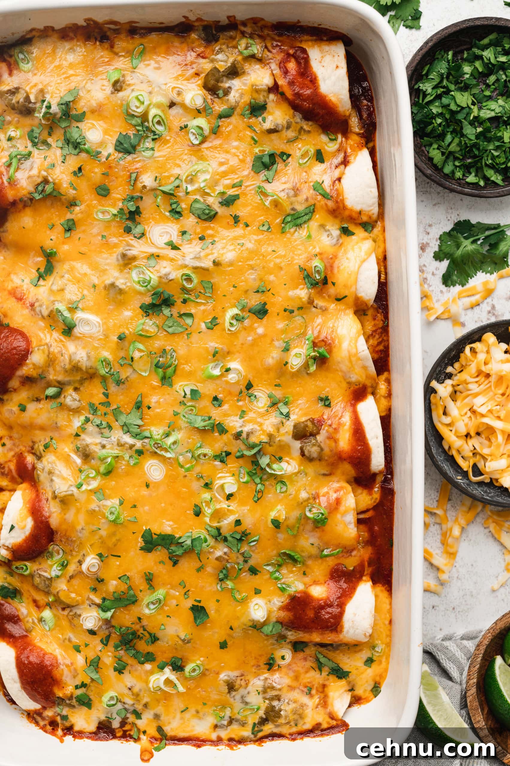 Cheesy Chicken Enchiladas