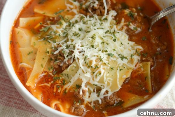 Instant Pot lasagna soup freezer meal