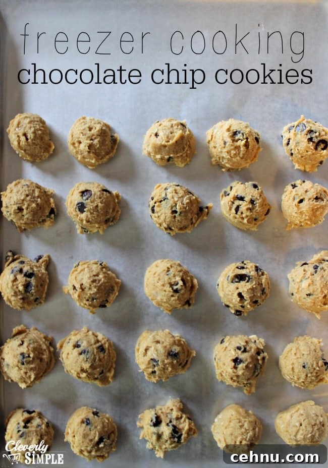 Freezer Chocolate Chip Cookies