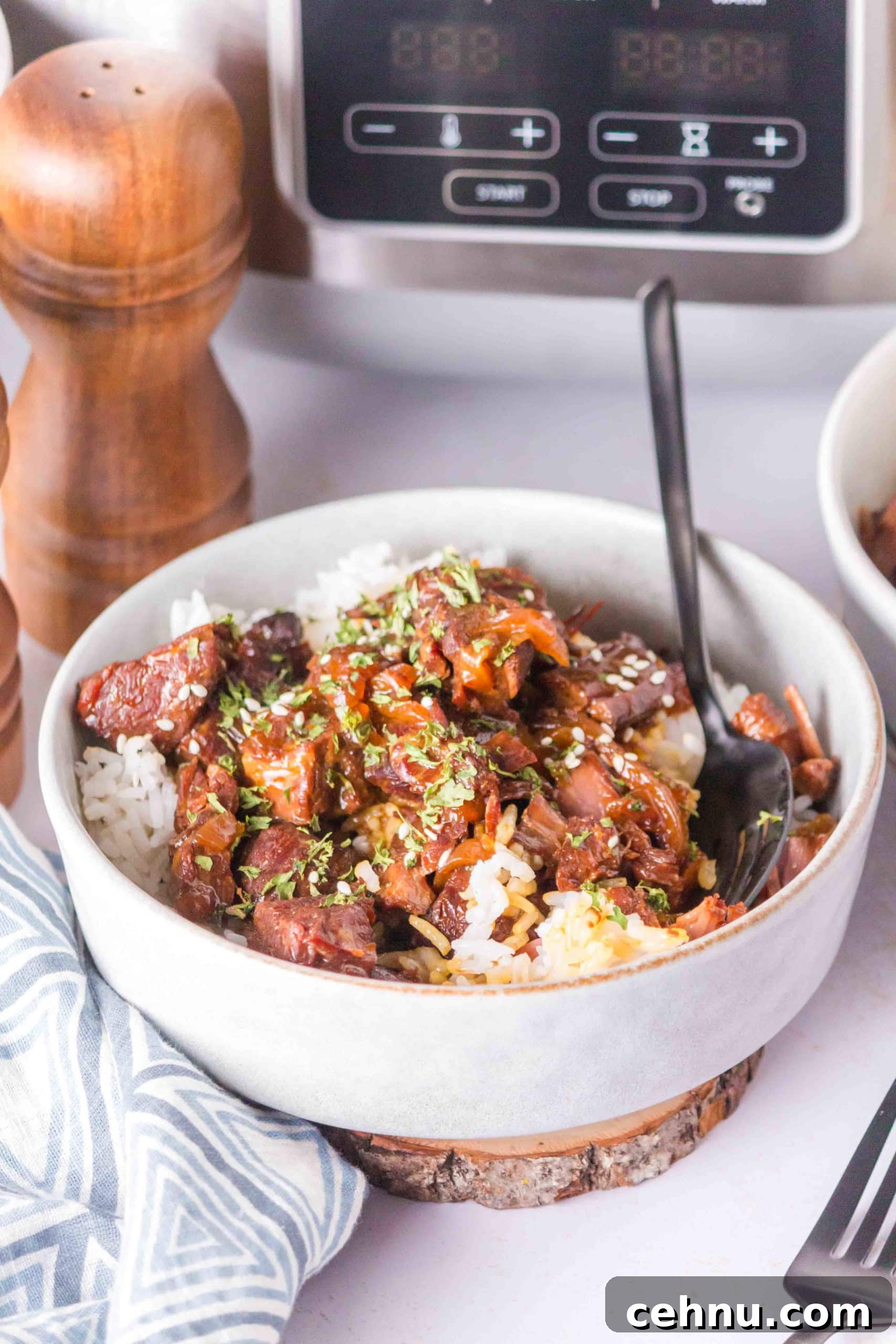 Slow Cooker Beef Teriyaki