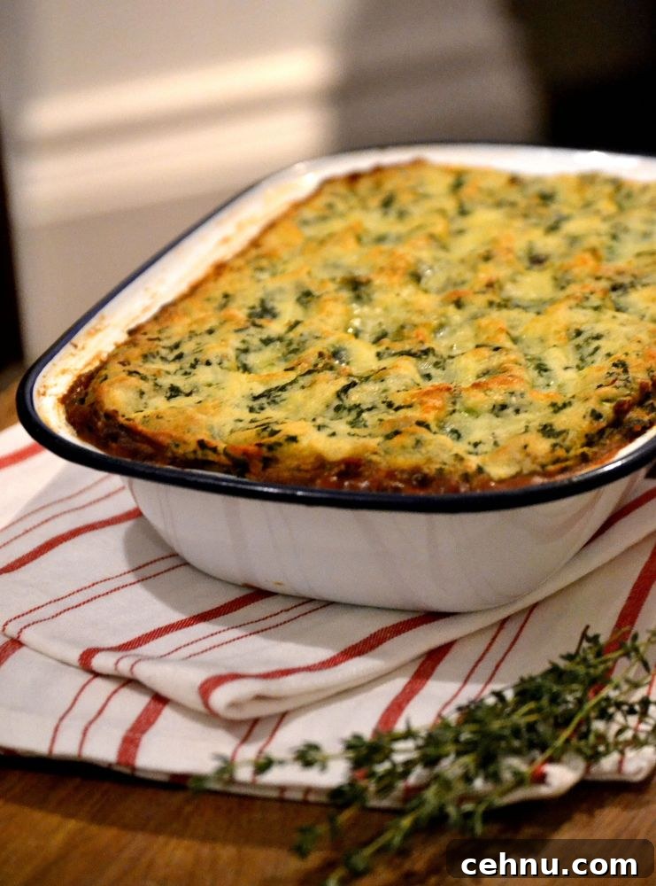 Borlotti & Red Wine Pie 2