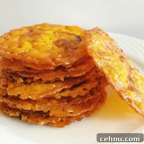 Barbecue Cheese Crisps - Keto / Low Carb