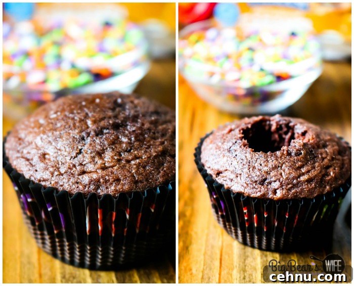 Chocolate Cupcake