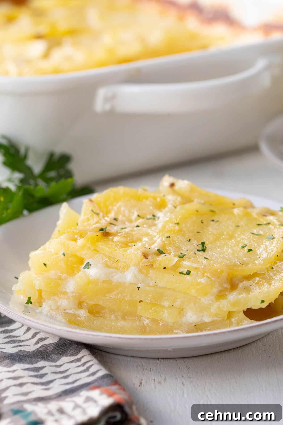 Old Fashioned Scalloped Potatoes Recipe 2 plate filled with thinly sliced potatoes layered with a cream sauce.
