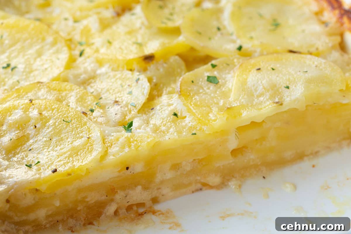 Old Fashioned Scalloped Potatoes Recipe 11 inside of a dish of layered potatoes with a creamy sauce.