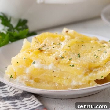 Old Fashioned Scalloped Potatoes Recipe 12 layers of scalloped potatoes on a white plate.