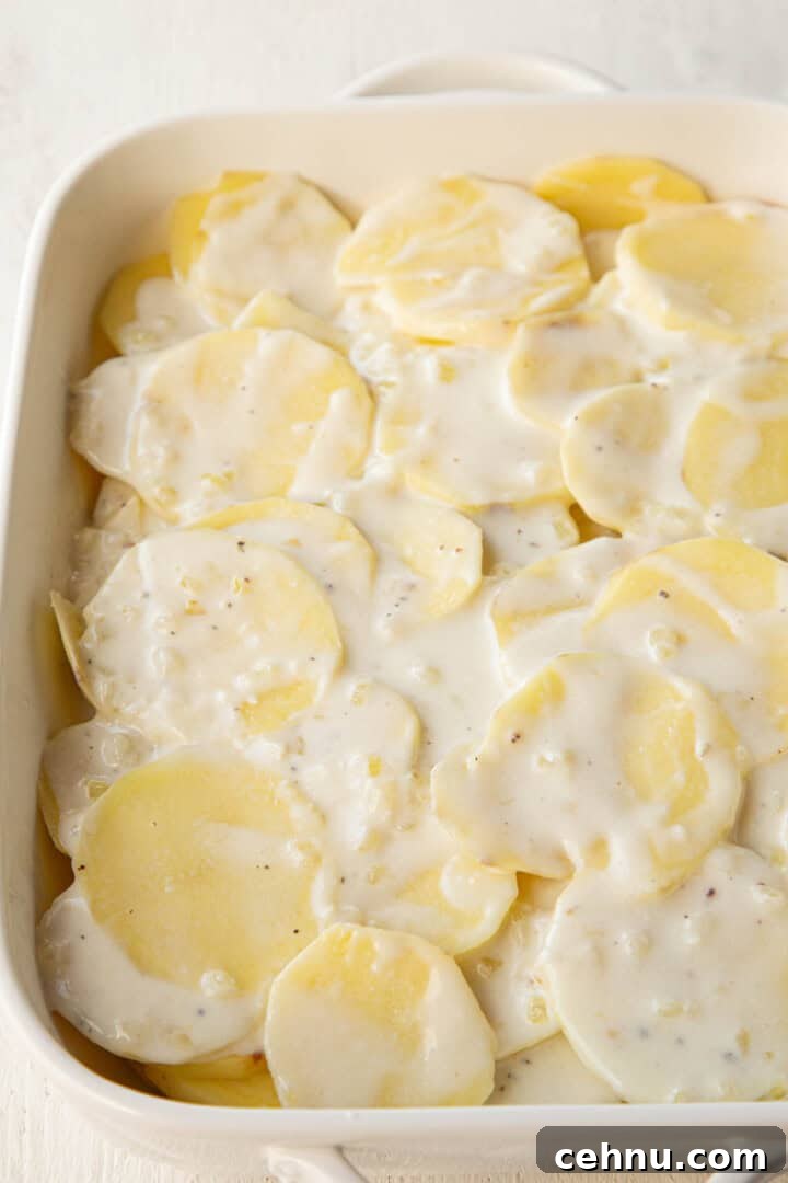 Old Fashioned Scalloped Potatoes Recipe 9 raw potato slices covered in a white cream sauce.
