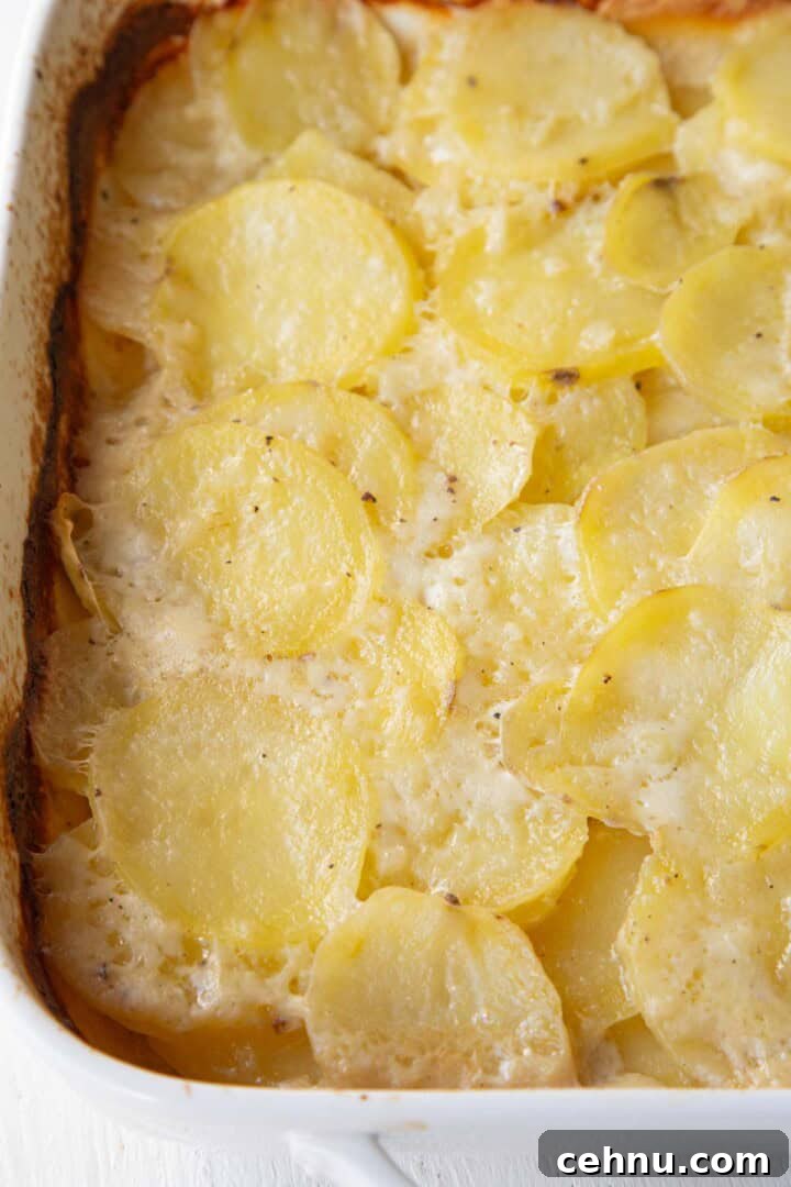 Old Fashioned Scalloped Potatoes Recipe 10 potato slices baked in a casserole dish.