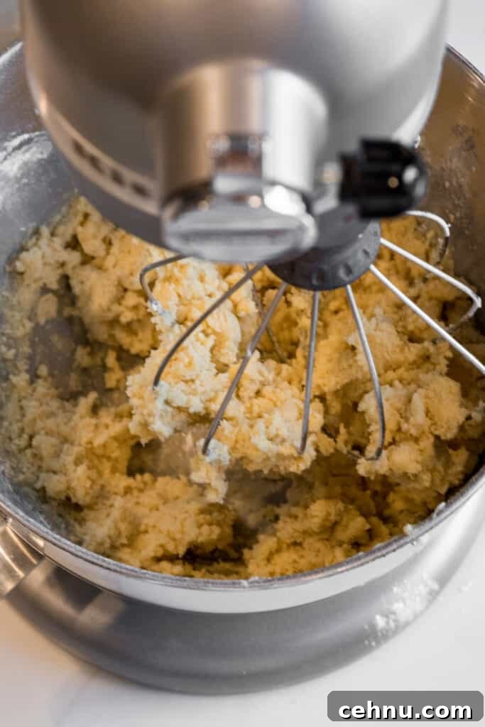 Marbled Sugar Cookie Recipe with Decorating Tips 4 sugar cookie dough in a stand mixer