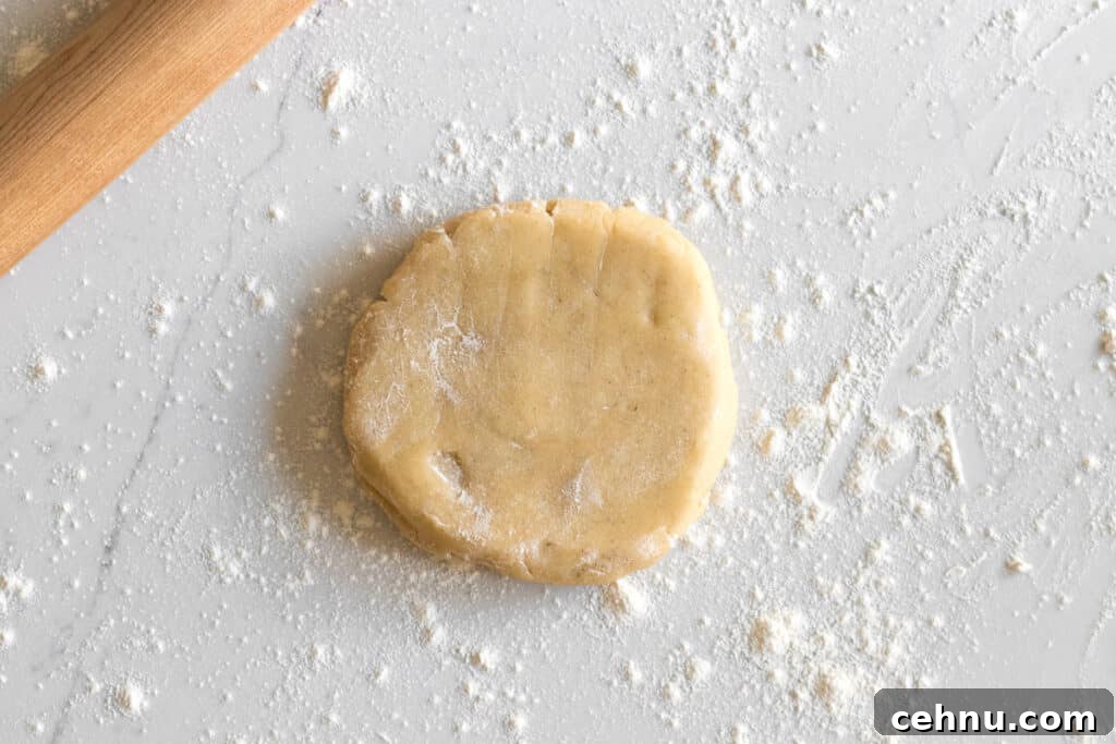 Marbled Sugar Cookie Recipe with Decorating Tips 5 disc of sugar cookie dough with wood rolling pin
