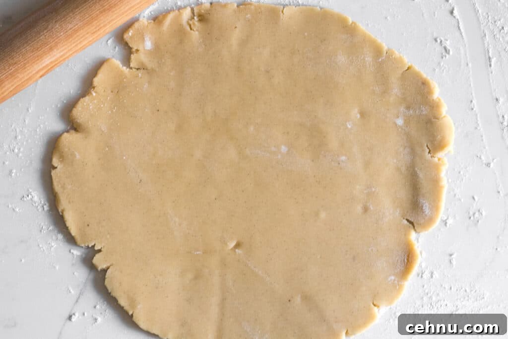 Marbled Sugar Cookie Recipe with Decorating Tips 6 sugar cookie dough rolled out into a circle