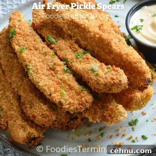 Air Fryer Garlic Parmesan Potato Wedges 10 air fryer fried pickles with dipping sauce on a grey plate garnished with fresh chopped parsley