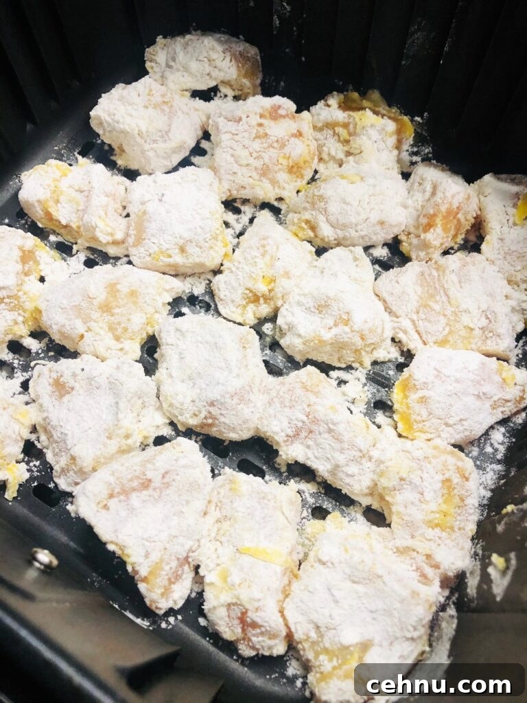 chicken in air fryer before cooking