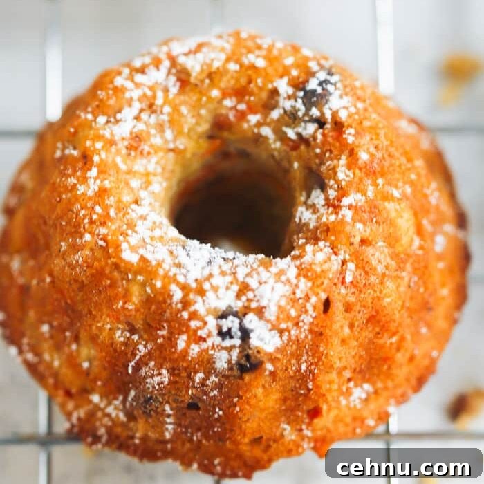 Easter Menu Ideas: Brunch, Dinner and Dessert Recipes 28 Closeup of a carrot Bundt cake with powdered sugar.
