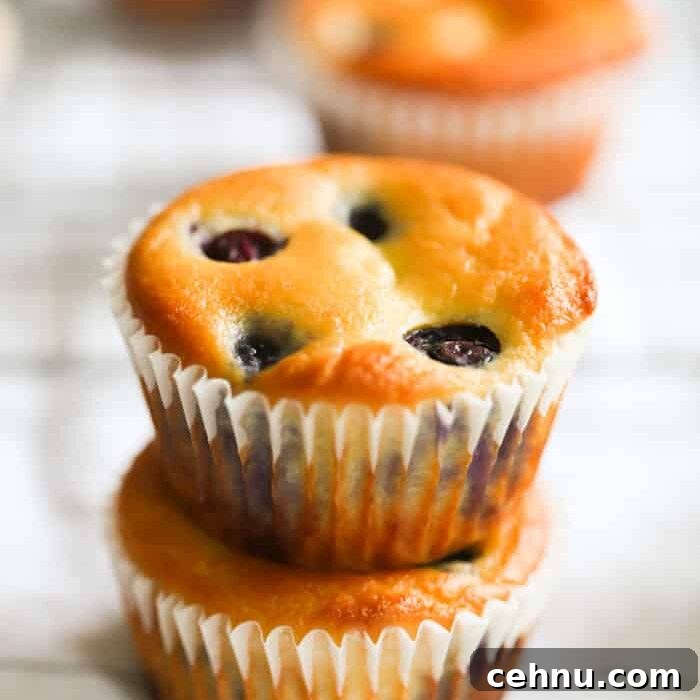 Easter Menu Ideas: Brunch, Dinner and Dessert Recipes 36 A stack of 2 Low-Carb Lemon Blueberry Blender Muffins.