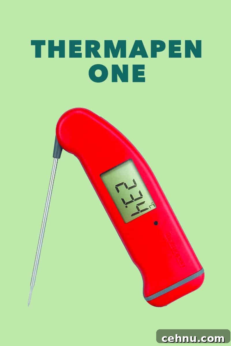 A red Thermapen One on a green background.