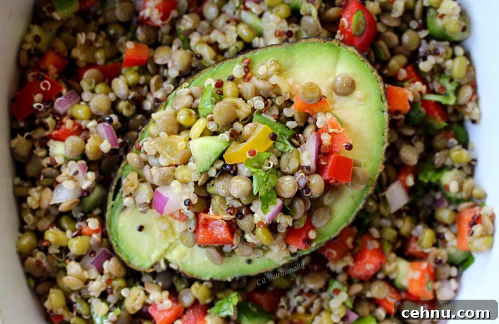 Mung Bean, Quinoa, & Lentil Salad Stuffed Avocado