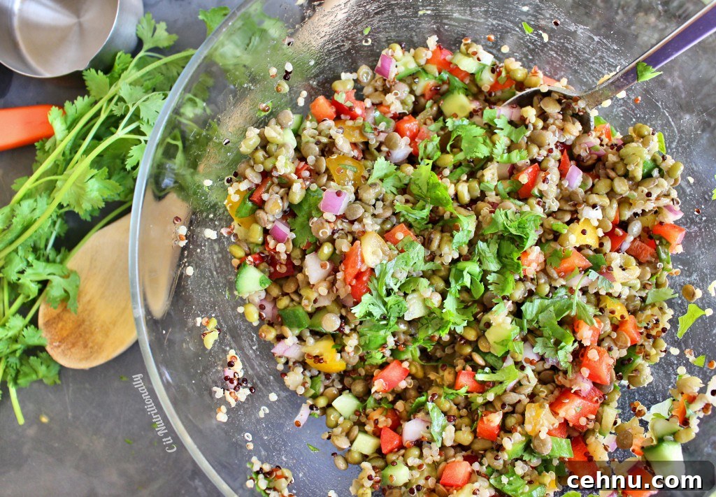 Mung Bean, Quinoa, & Lentil Salad Mixing