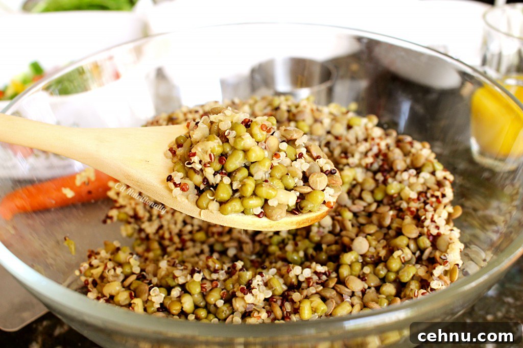 Mung Bean, Quinoa, & Lentil Salad Close Up