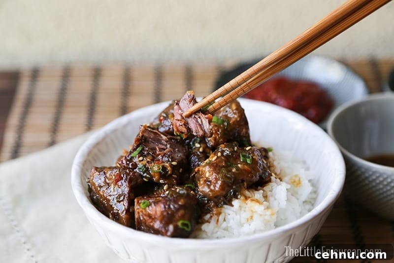 The-Little-Epicurean-Slow-Cooker-Asian-braised-beef