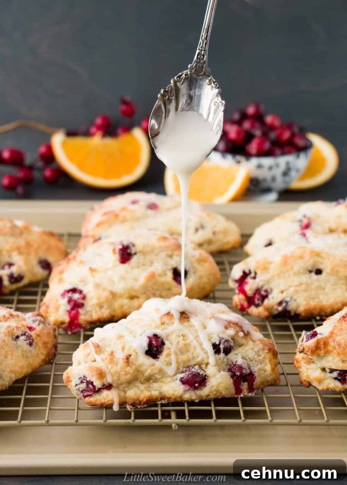 cranberry orange scones