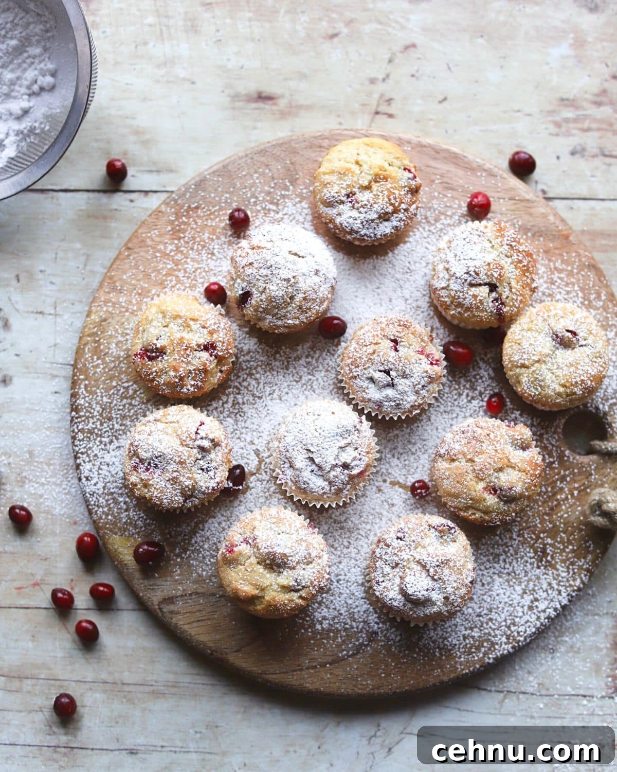 orange cranberry muffins